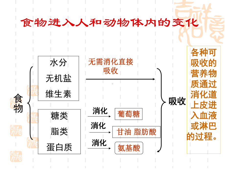 三大营养物质代谢的关系课件.ppt_第3页