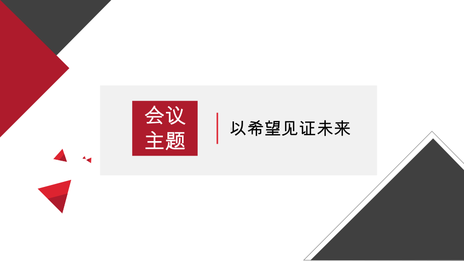 集团公司全国品牌经销商大会策划方案(精选干货)课件.pptx_第2页