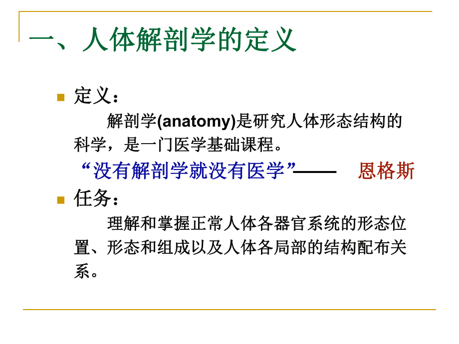 《人体解剖学绪论》课件.ppt_第3页