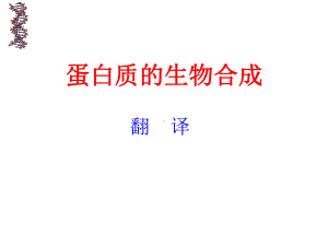 南京农业大学考研复习生物化学蛋白质的生物合成课件.ppt