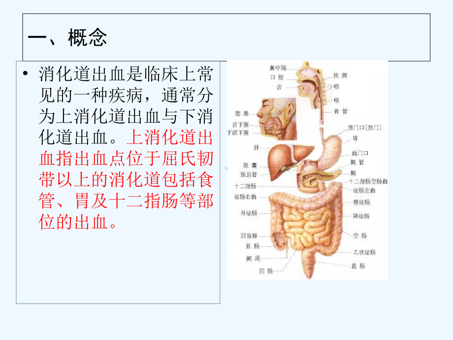 上消化道出血的护理课件-002.ppt_第3页