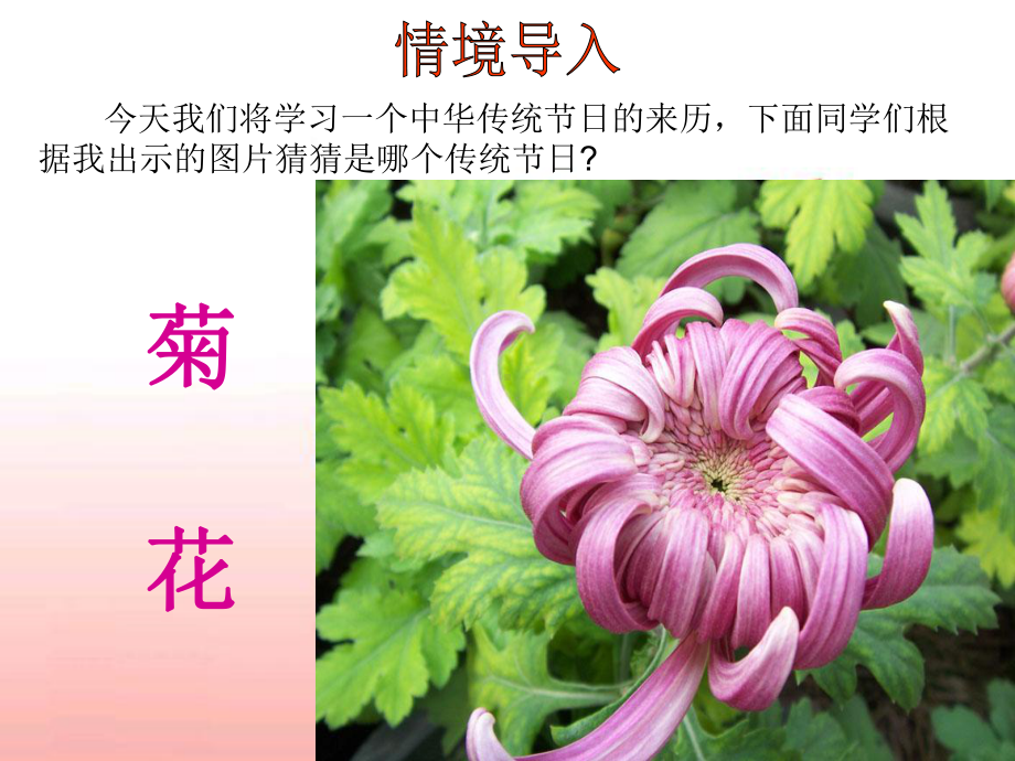 《重阳节的传说》课件.ppt_第2页