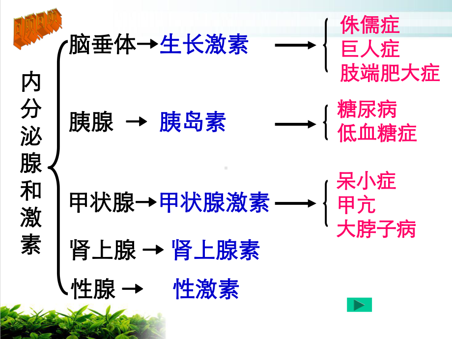 八年级下科学《神经调节》优选课件浙教版2.ppt_第1页