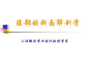 《腹部的断面解剖学》课件.ppt