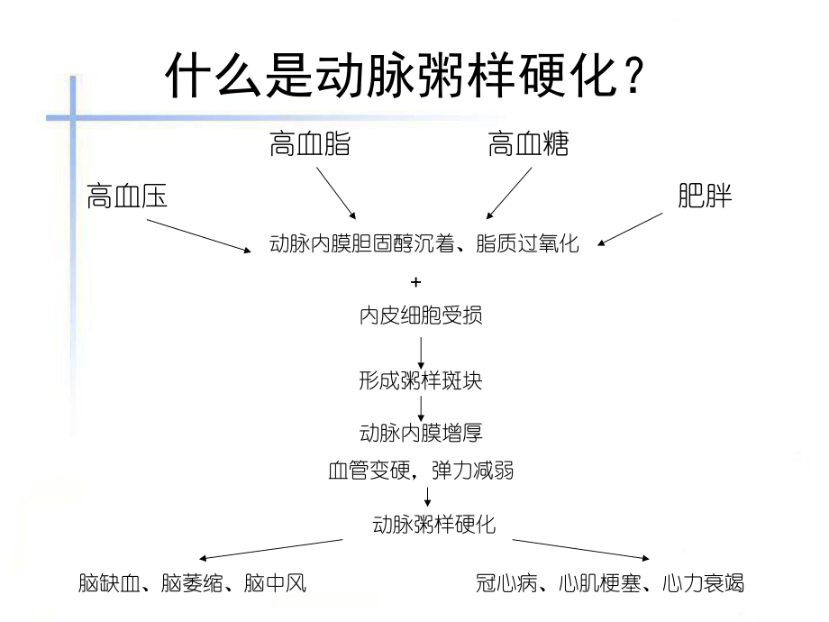 防治动脉粥样硬化应该吃什么？1课件.ppt_第2页