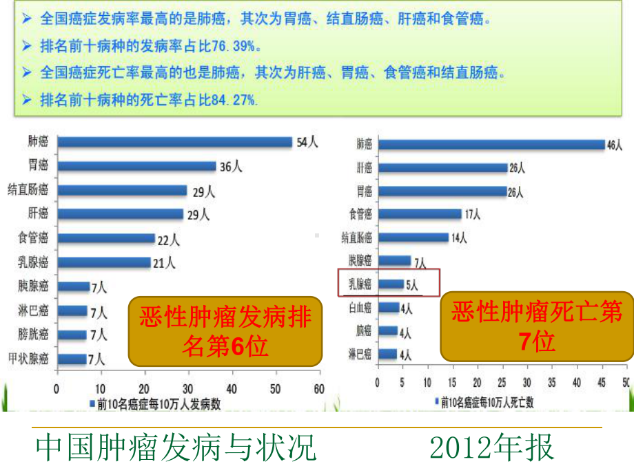 乳腺癌保乳术后放射治疗课件.ppt_第2页