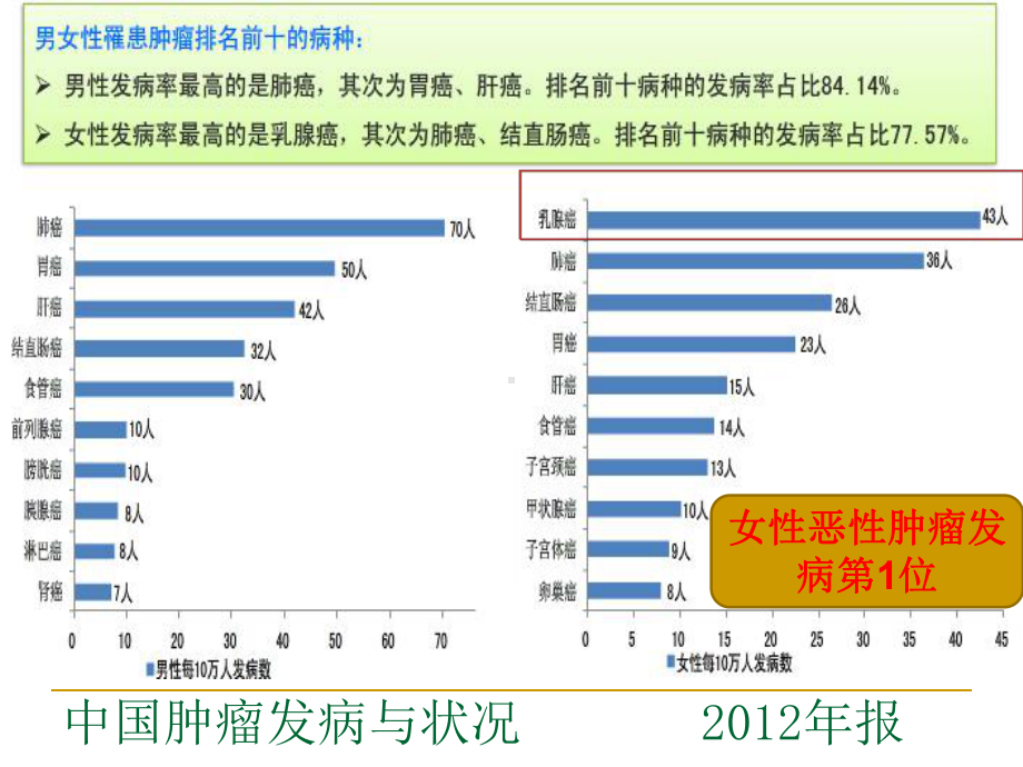 乳腺癌保乳术后放射治疗课件.ppt_第3页