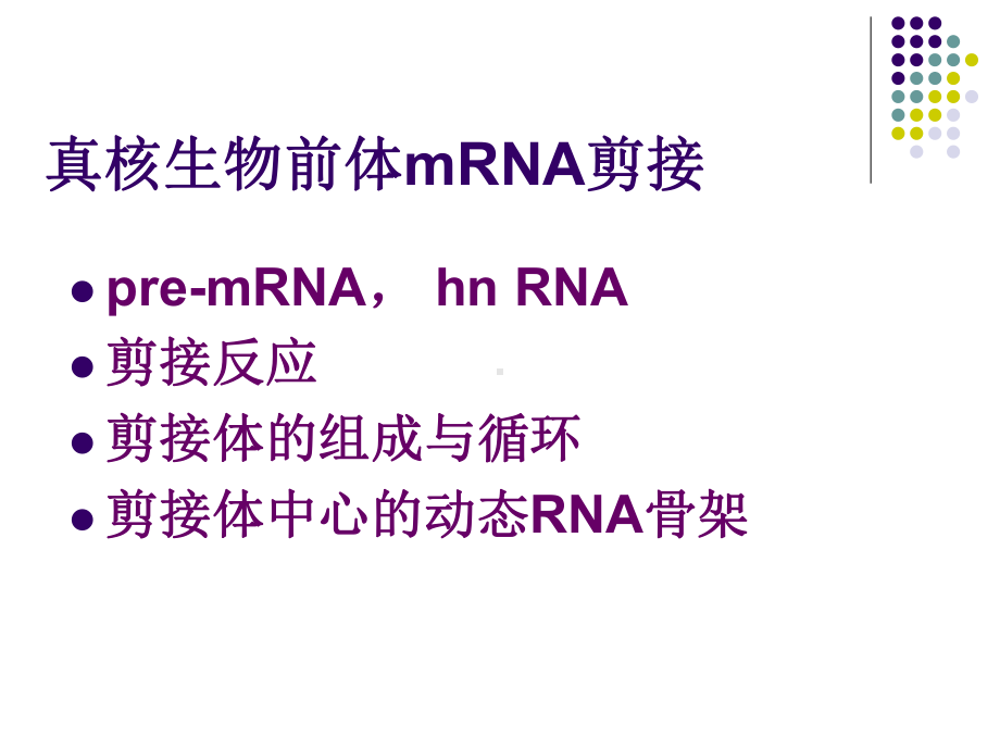 [高等教育]基因组学-课件-73基因表达的转录后调控.ppt_第3页