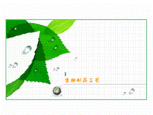 生物工程制药之质量与控制2课件.ppt