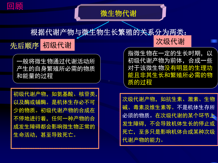 第九章食品制造中微生物代谢产物及其应用6课件.ppt_第3页