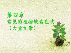 常见的植物缺素症状大量元素课件.ppt