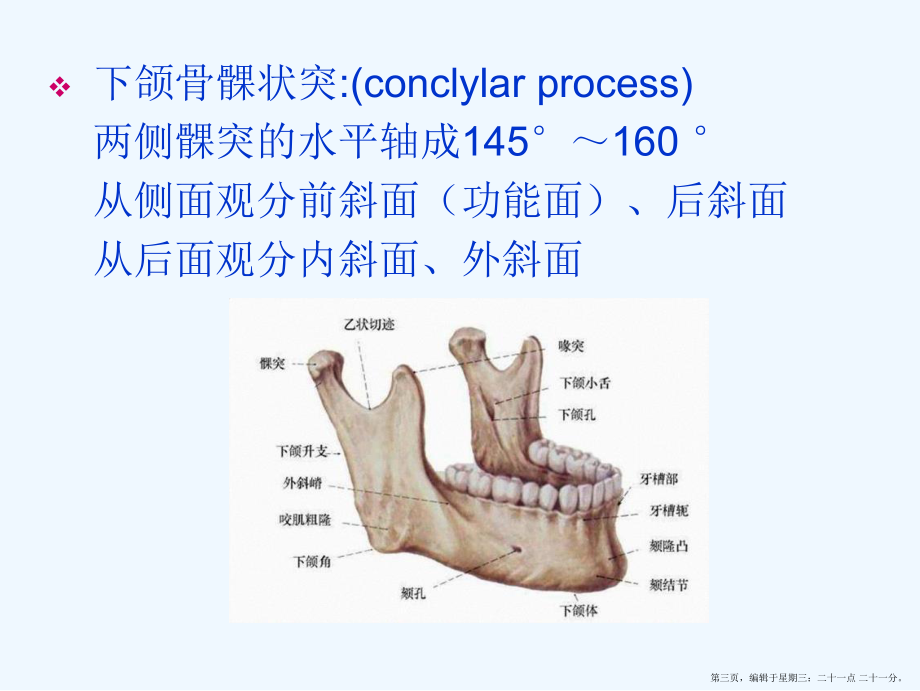 口腔颌面局部疾病系统解剖图解课件.ppt_第3页