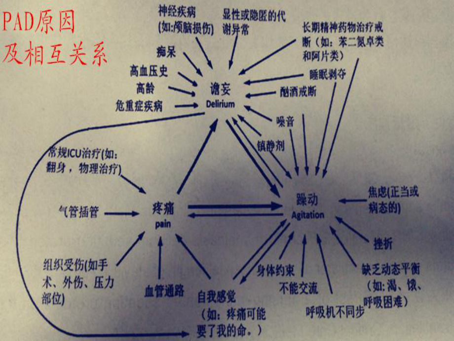 ICU疼痛、躁动、谵妄识别与处理分析课件.ppt_第2页