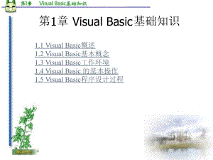 基本第1章VisualBasic基础常识课件.ppt