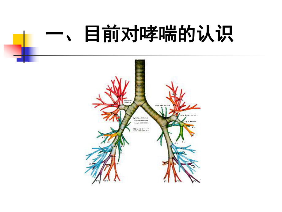 哮喘的诊治课件.ppt_第2页