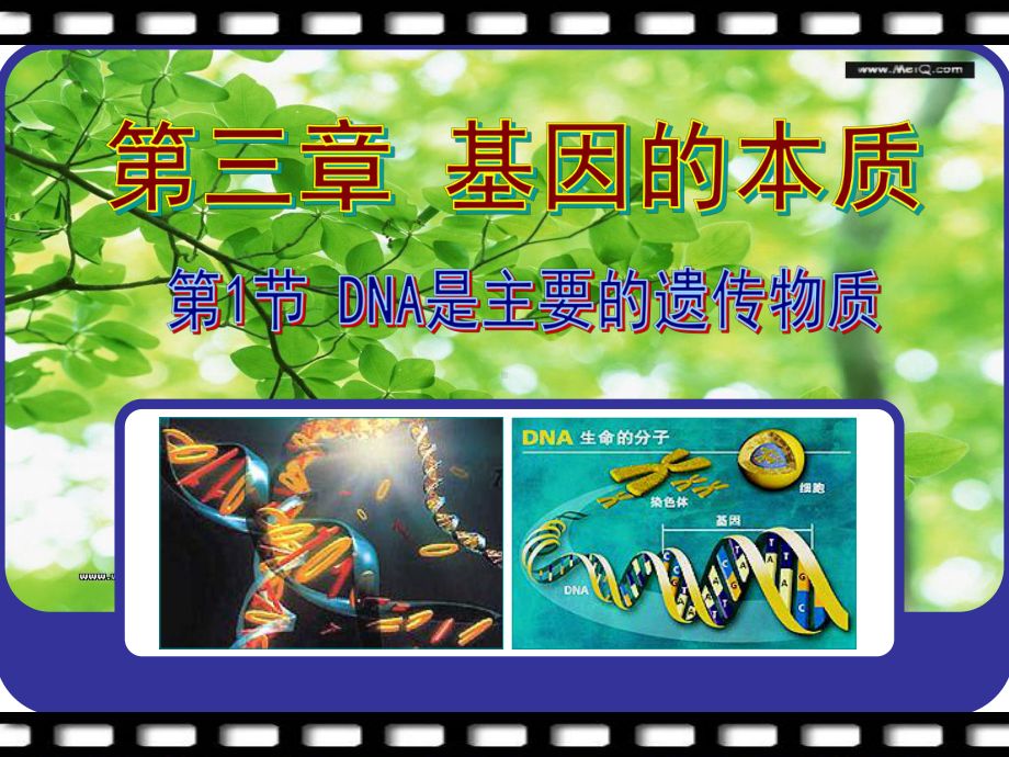 DNA是主要的遗传物质(上课用)课件.ppt_第1页