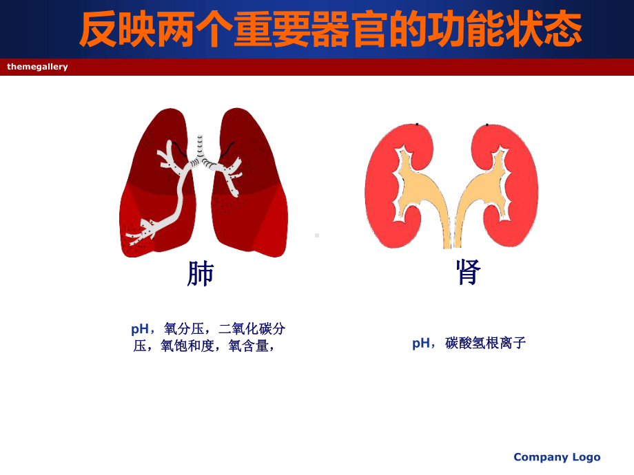 动脉血气分析与酸更新课件.ppt_第3页