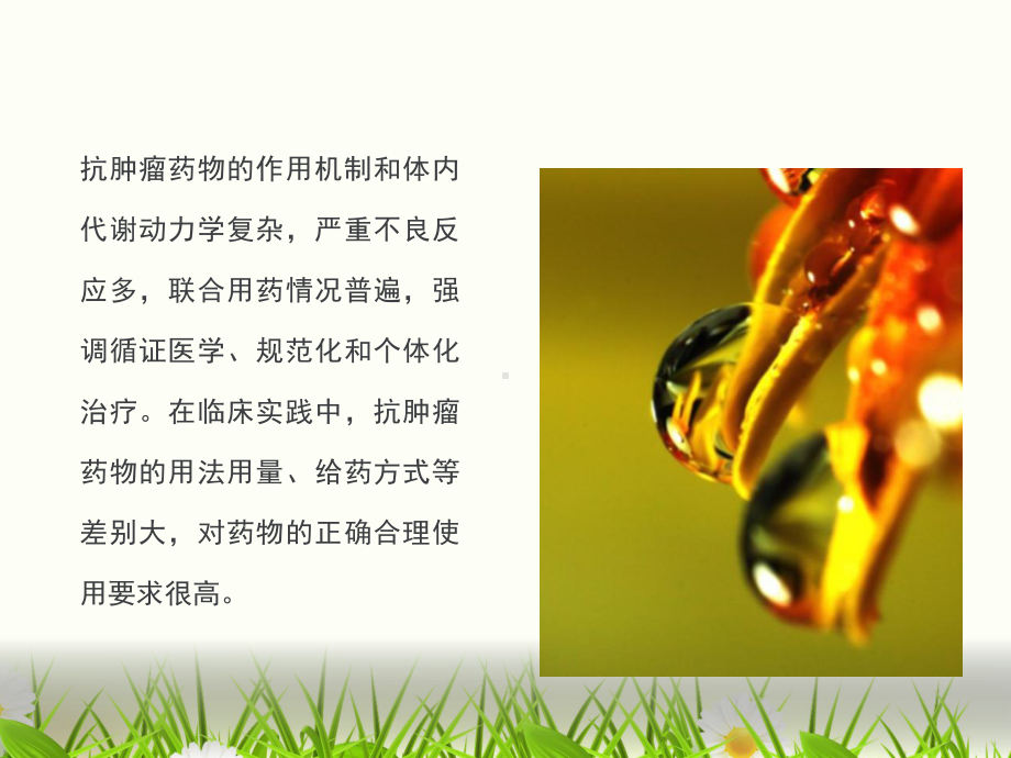 化疗药物的的使用和安全管理课件.ppt_第2页