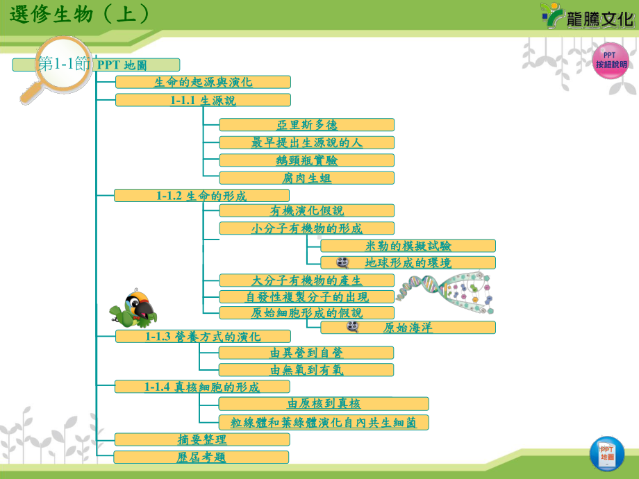 异营厌氧原核课件.ppt_第3页