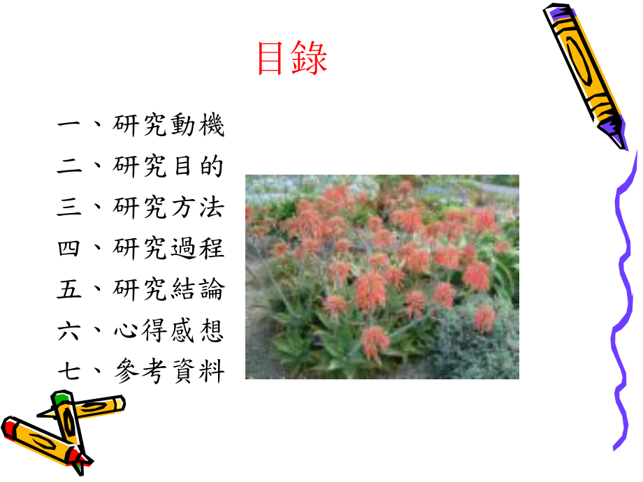 植物界的美容师芦荟课件.ppt_第2页