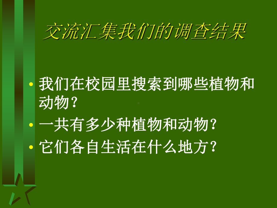 钱塘江等水域藏羚羊大熊猫白鳍豚扬子鳄大熊猫亦称猫熊哺乳动物课件.ppt_第2页