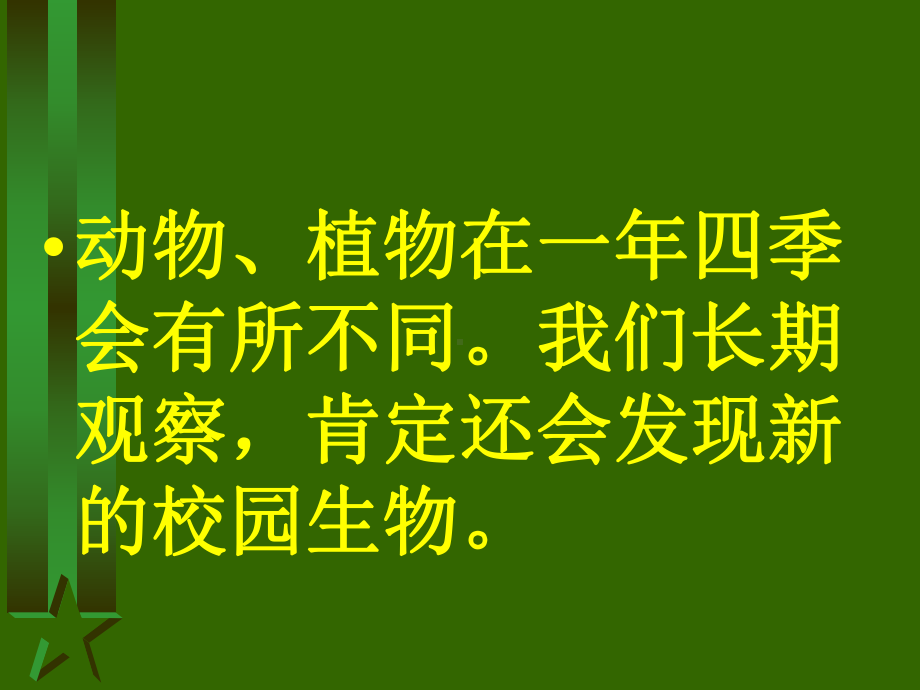 钱塘江等水域藏羚羊大熊猫白鳍豚扬子鳄大熊猫亦称猫熊哺乳动物课件.ppt_第3页