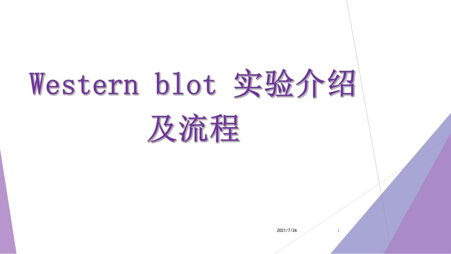 (最新整理)westernblot详解课件.ppt_第2页