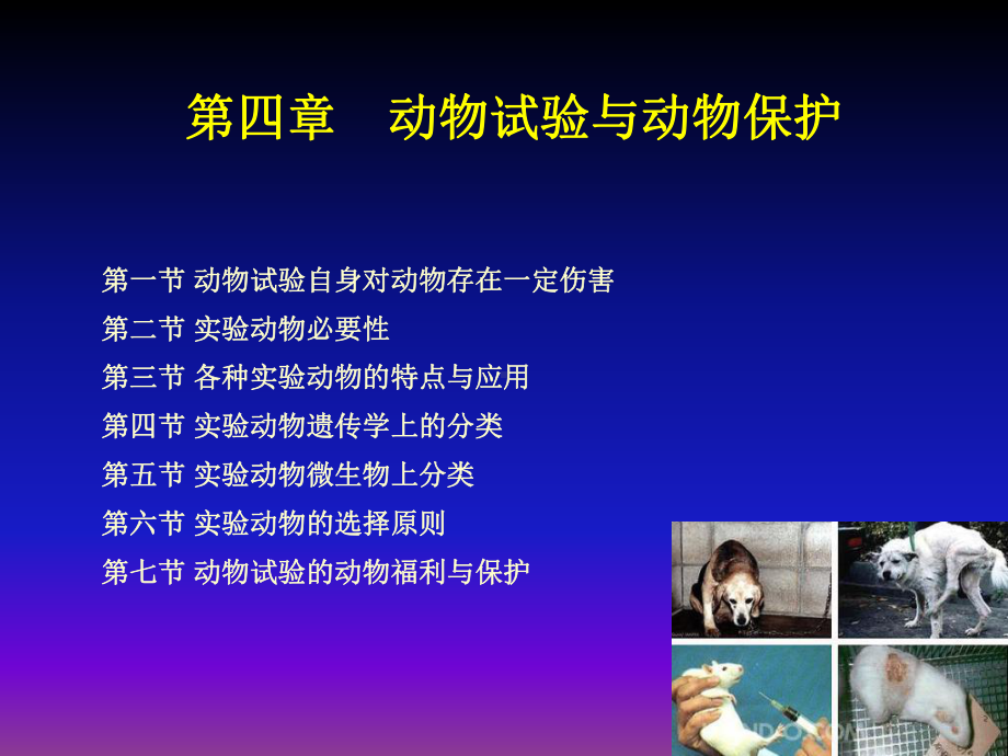 动物试验与动物保护课件.ppt_第2页