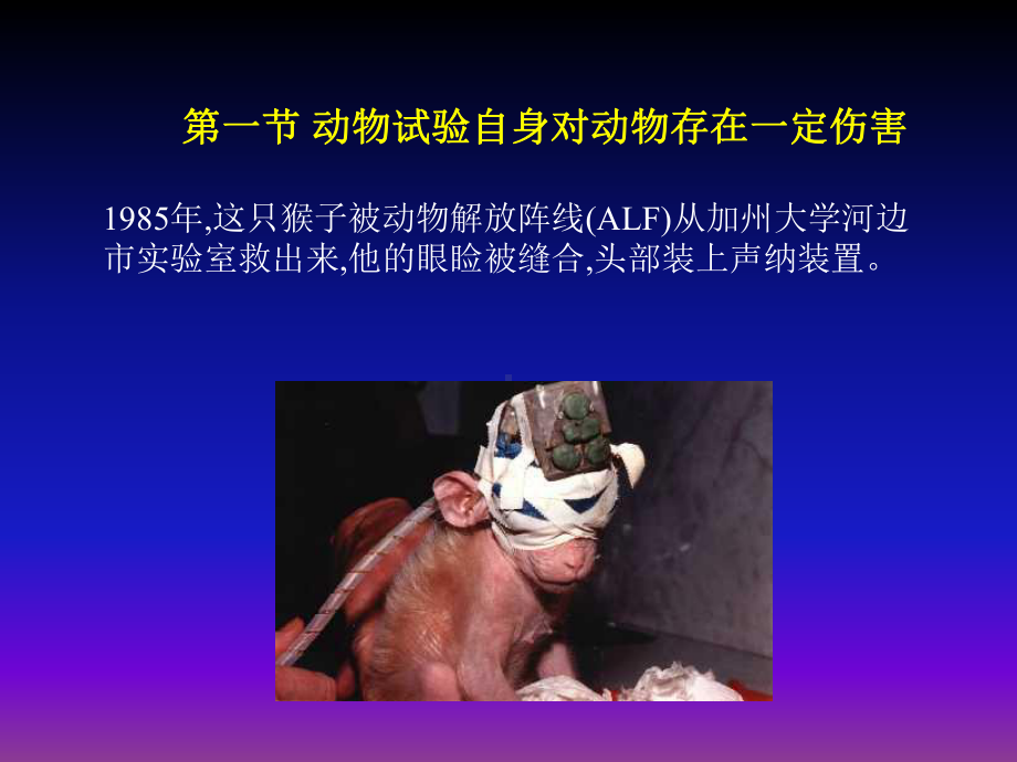 动物试验与动物保护课件.ppt_第3页