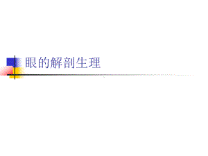 教学课件大专临床EYE201401眼的解剖生理2.ppt