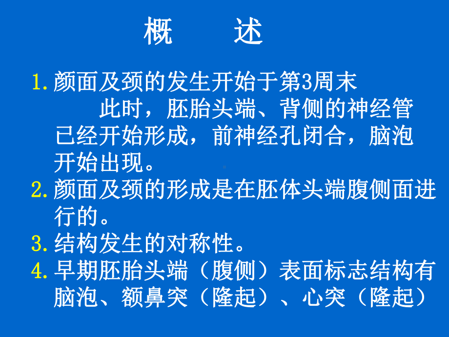 颜面四肢发生课件.ppt_第2页