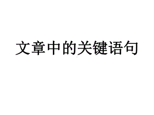 中心句和过渡句概述课件.ppt