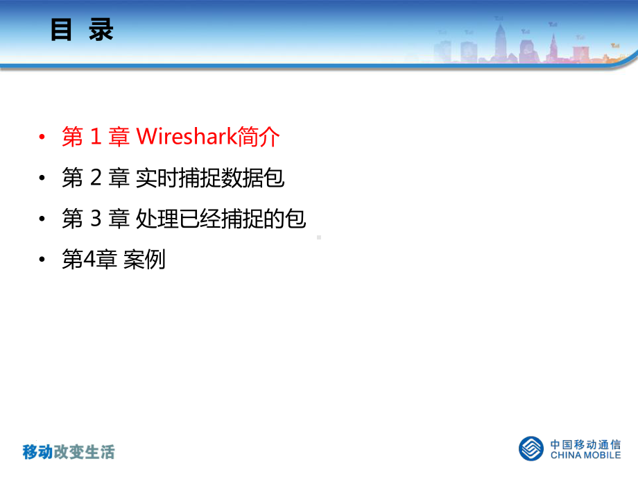 Wireshark使用培训手册课件.ppt_第2页