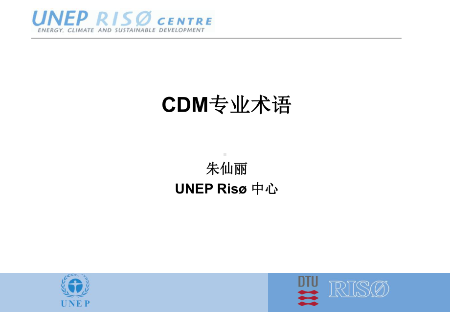 《CDM专业术语》课件.ppt_第1页