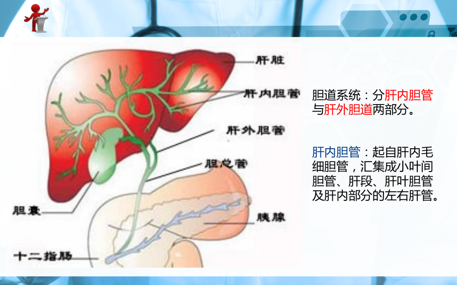 《外科护理》第十六章-第四节-胆道疾病病人的护理知识讲稿课件.ppt_第2页