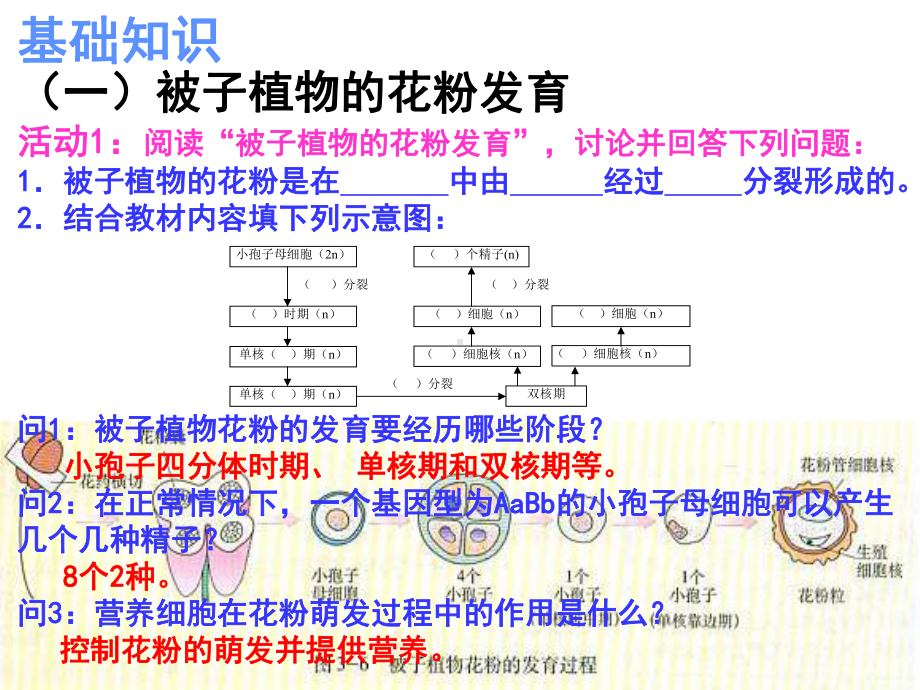 (生物选修一)月季花药培养课件.ppt_第2页