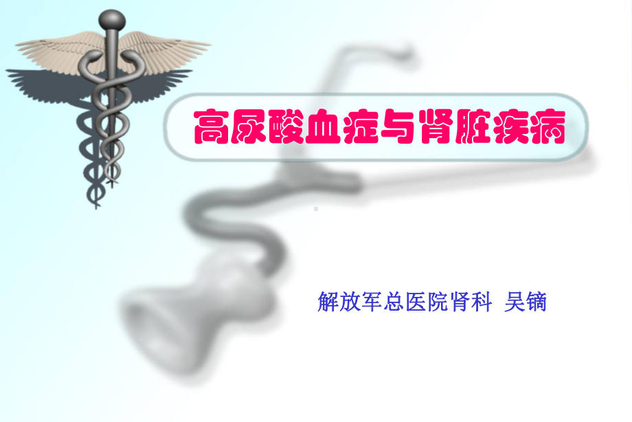 高尿酸血症与肾脏疾病2008课件.ppt_第1页