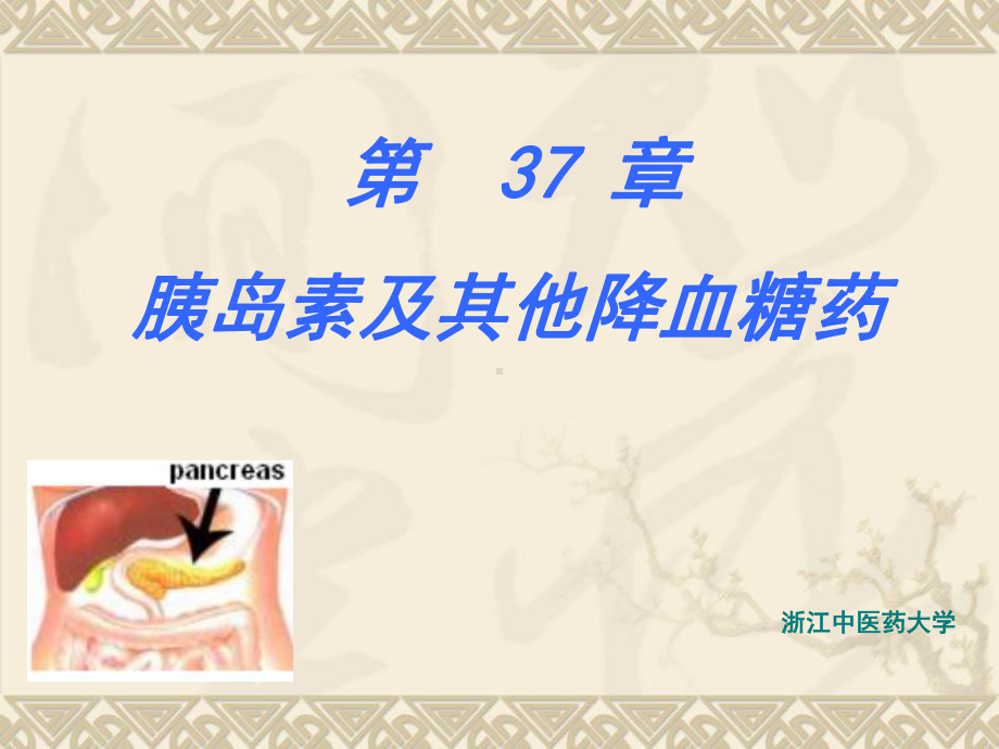 第37章胰岛素及其他降血糖药课件讲义.ppt_第1页