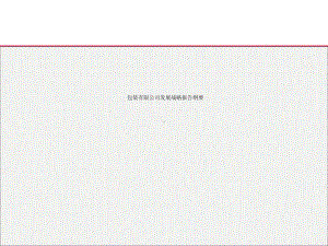 包装有限公司发展战略报告纲要课件.ppt
