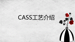 CASS工艺介绍讲课资料课件.pptx