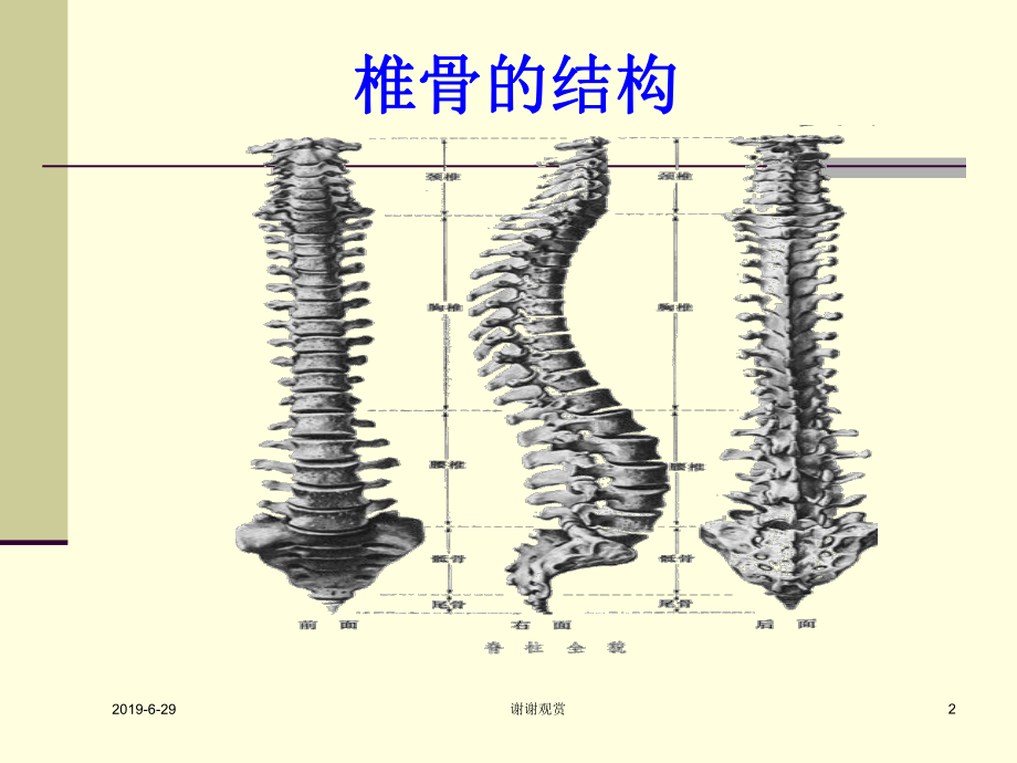 颈椎病的防治课件.pptx_第2页