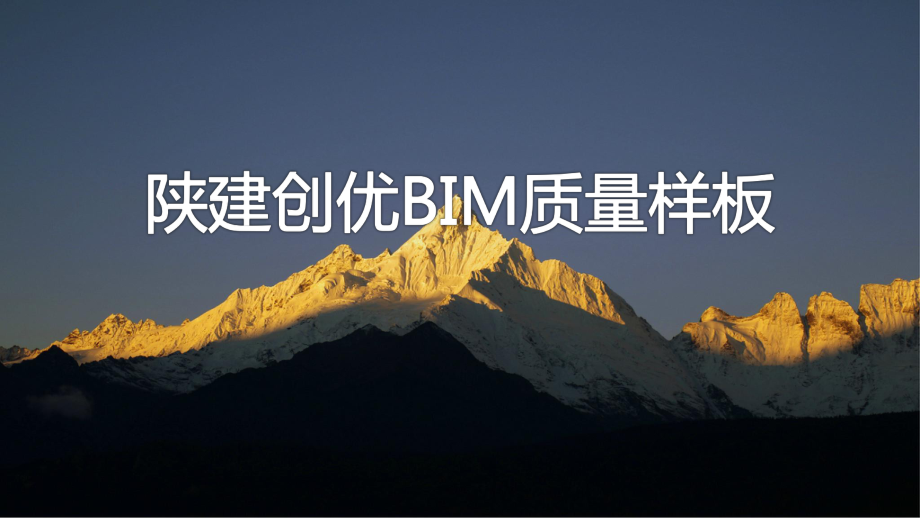 项目创优BIM质量样板课件.pptx_第1页