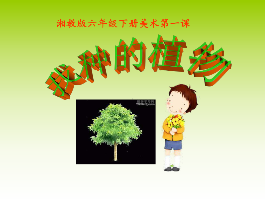 六年级下册美术《我种的植物》-课件.ppt_第2页