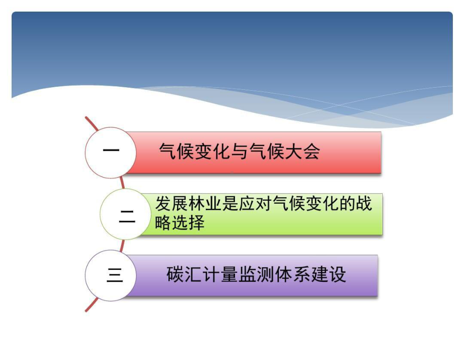 气候变化与林业碳汇课件.ppt_第2页