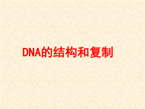 DNA分子的结构和复制课件.ppt