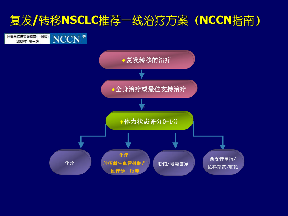 参一胶囊联合化疗药物治疗非小细胞肺癌Meta分析课件.ppt_第2页