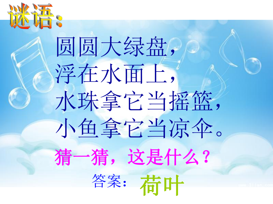 部编版语文一年级下册《荷叶圆圆》课件.ppt_第1页