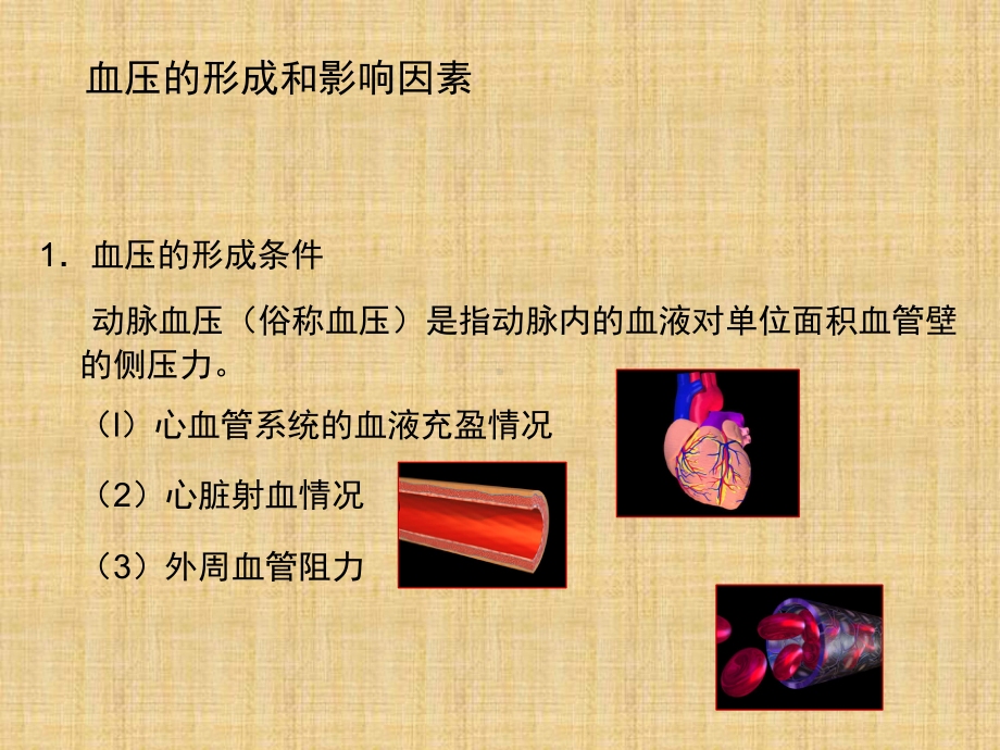 高血压的发病机制精编课件.pptx_第3页