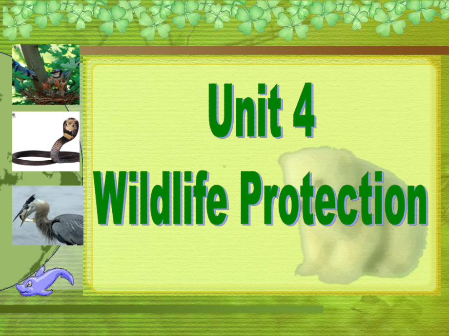 高一英语人教课标必修2unit4wildlifeprotectionreading课件.ppt（纯ppt,可能不含音视频素材）_第1页