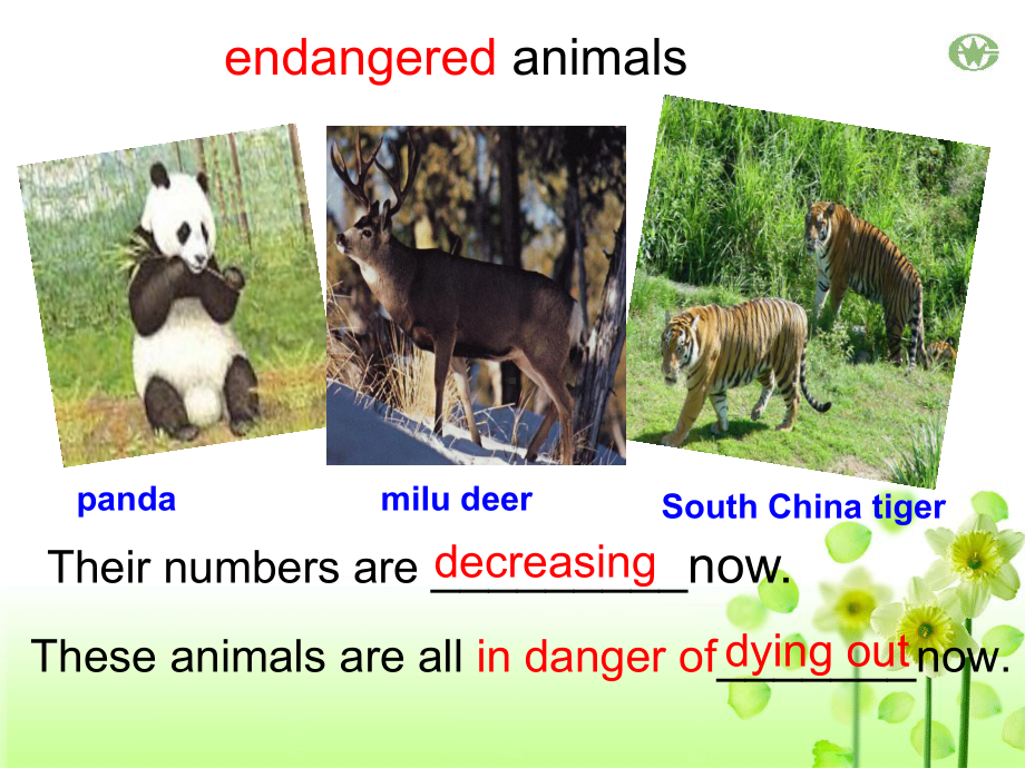 高一英语人教课标必修2unit4wildlifeprotectionreading课件.ppt（纯ppt,可能不含音视频素材）_第2页